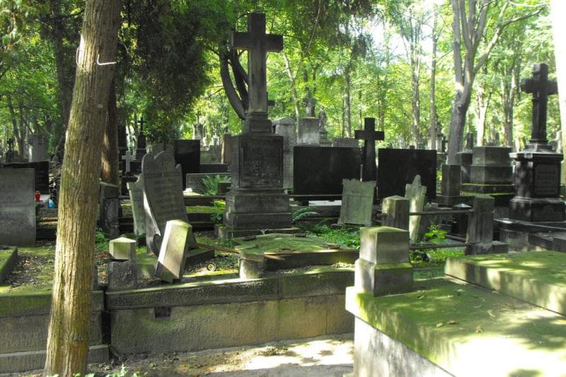 Zdjęcie grobu: Maria Dąbrowska