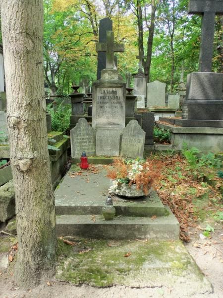 Zdjęcie grobu: Henryk Trzciński