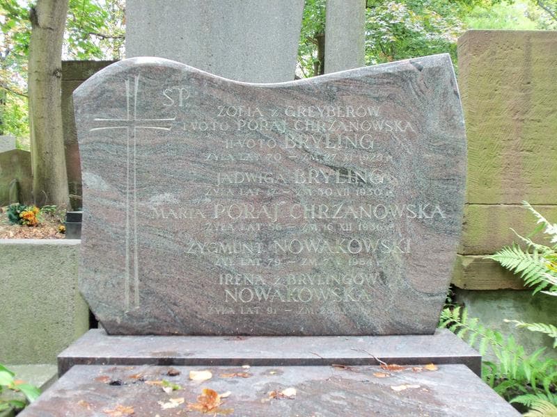 Zdjęcie grobu Jadwiga Bryling (2)