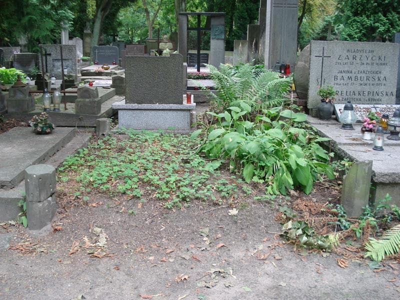 Zdjęcie grobu Anonim (1)
