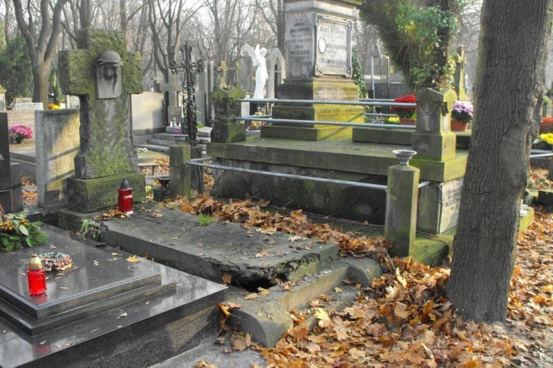Zdjęcie grobu Stefania Goździcka (1)