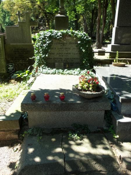 Zdjęcie grobu: Zygmunt Jędrzejowski