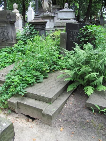 Zdjęcie grobu Henryk Michaux (2)