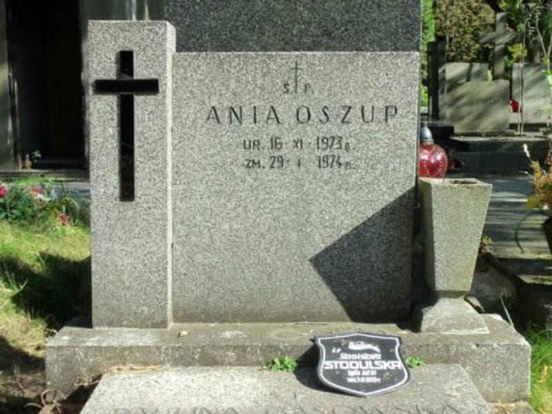 Zdjęcie grobu Stanisława Stodulska (2)