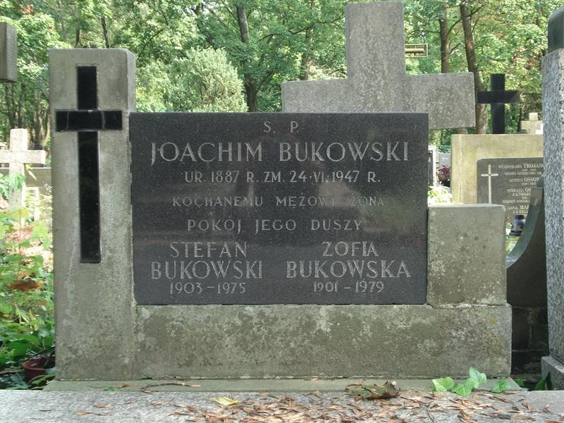 Zdjęcie grobu Stefan Bukowski (2)