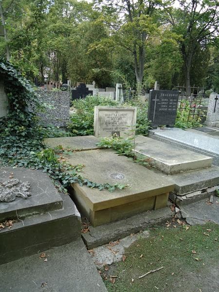 Zdjęcie grobu Stanisław Krzemiński (2)
