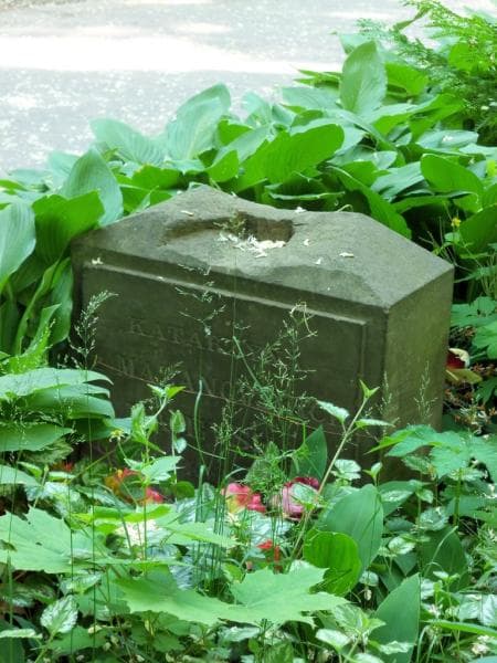 Zdjęcie grobu Katarzyna Majewska (2)