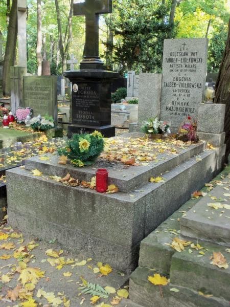 Zdjęcie grobu Eugenia Tauber-Ziółkowska (1)