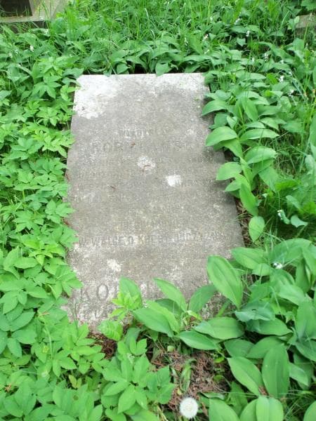 Zdjęcie grobu Mieczysław Kobylański (2)