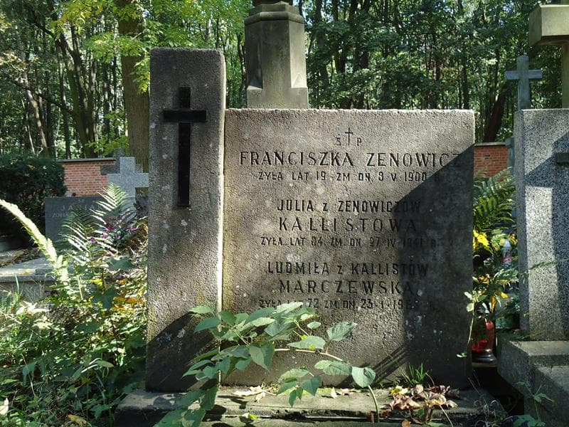 Zdjęcie grobu Ludmiła Marczewska (2)