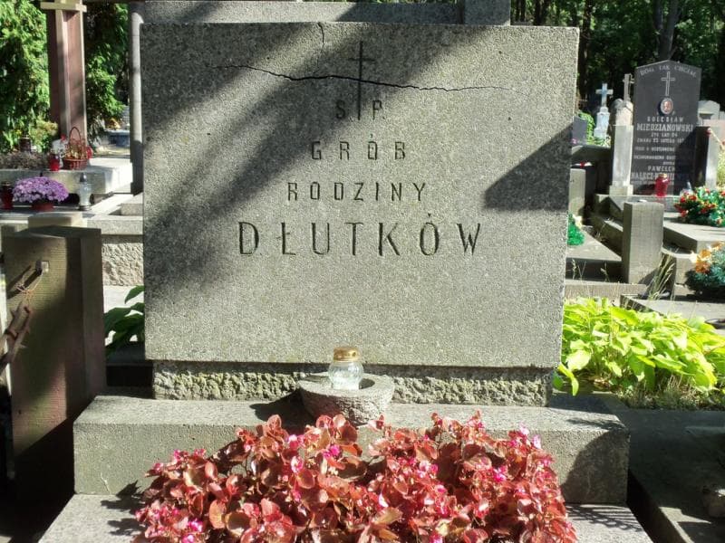Zdjęcie grobu Dłutkowie (2)