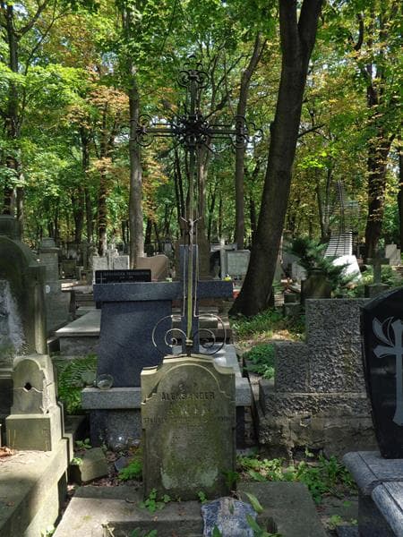 Zdjęcie grobu Aleksander Awin (1)