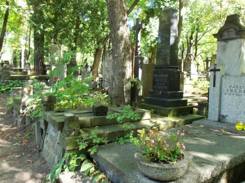 Zdjęcie grobu Paulina Langner (1)