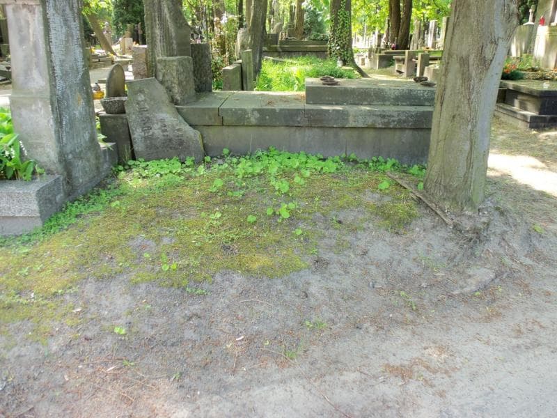 Zdjęcie grobu Pole Grobowe (1)