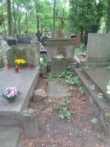 Zdjęcie grobu Marya Napieralska (1)