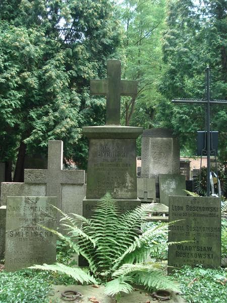 Zdjęcie grobu Józef Cyculski (2)