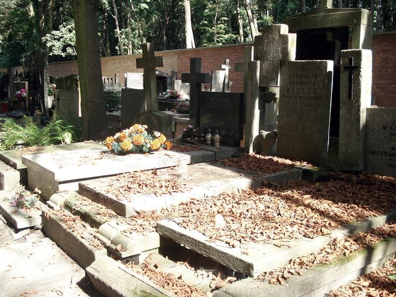 Zdjęcie grobu: Genowefa Bielec