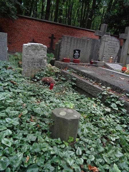 Zdjęcie grobu: Eugenja Dziubińska