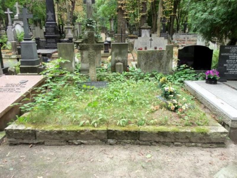 Zdjęcie grobu: Kujawscy I Rapaccy