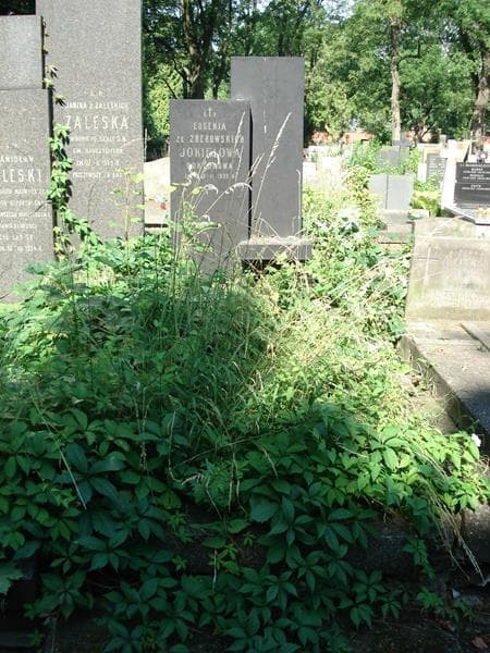 Zdjęcie grobu Eugenja Jokielowa (1)
