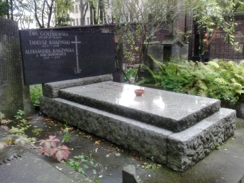 Zdjęcie grobu Aleksandra Książyńska (1)