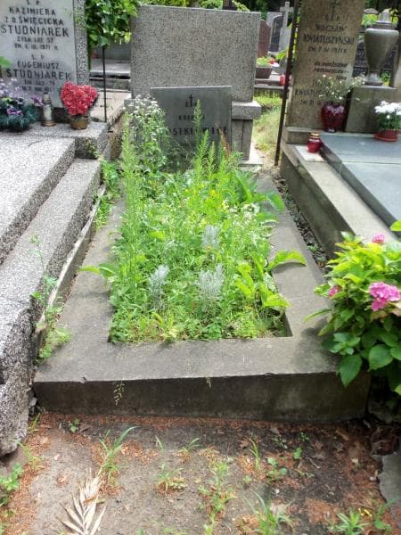 Zdjęcie grobu Rozalia Gostkiewicz (1)