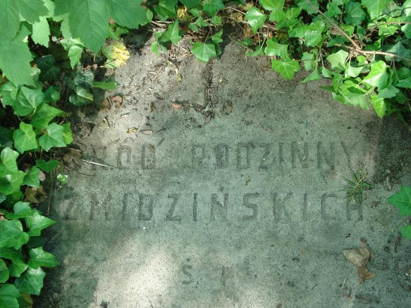 Zdjęcie grobu Rafał Żmidziński (2)