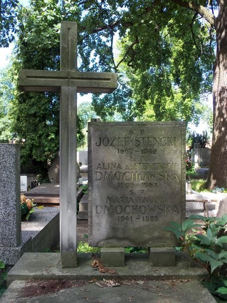 Zdjęcie grobu Anna Dmochowska (2)