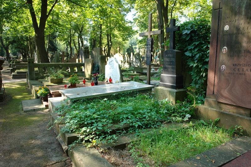 Zdjęcie grobu Wiktor Pikulski (1)