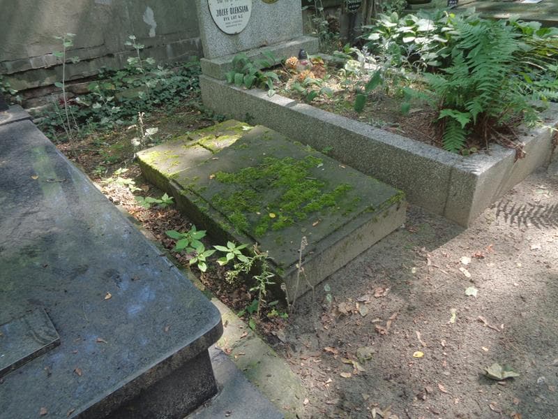 Zdjęcie grobu: Leokadia Turczyńska
