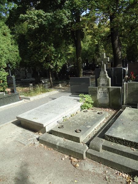 Zdjęcie grobu Sylwester Januszewski (1)