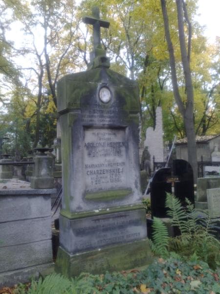 Zdjęcie grobu Antoni Heppen (1)