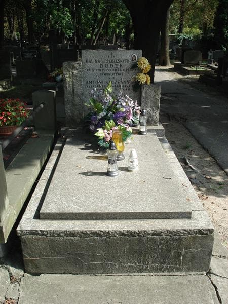 Zdjęcie grobu Janina Szczęsna (1)