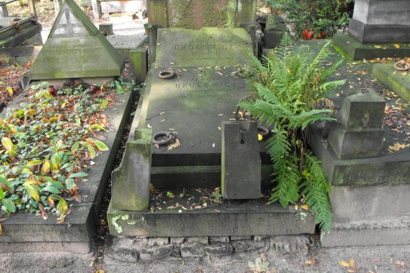 Zdjęcie grobu Józef Okołowicz (2)