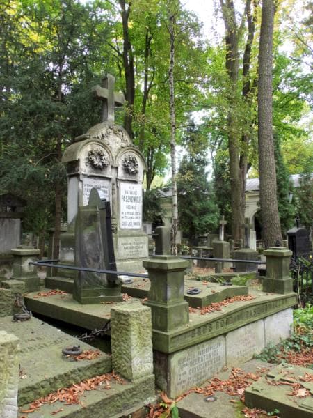 Zdjęcie grobu Apolinary Paszkowicz (1)