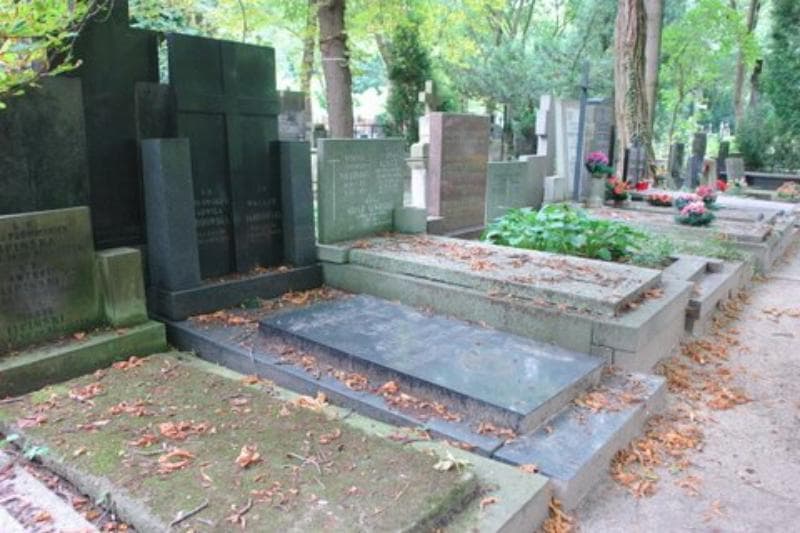 Zdjęcie grobu Jadwiga Dąbrowska (1)