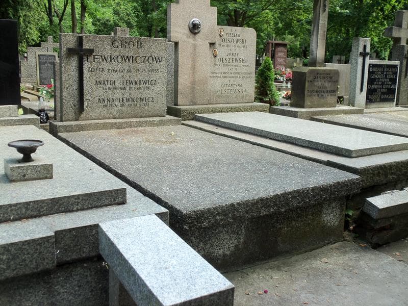 Zdjęcie grobu Anna Lewkowicz (1)