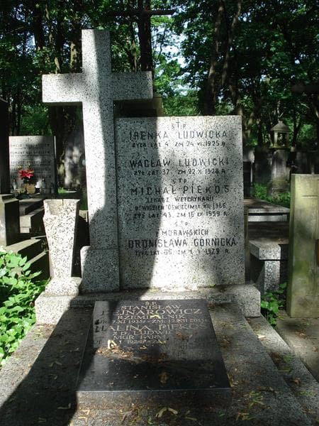 Zdjęcie grobu Stanisław Dejnarowicz (2)