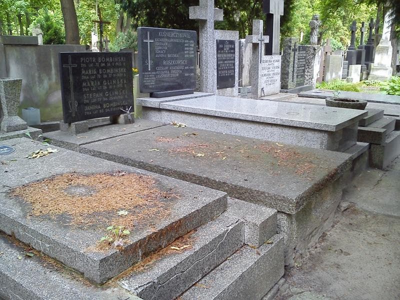 Zdjęcie grobu: Janina Bombińska