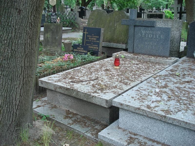 Zdjęcie grobu: Władysław Seidler