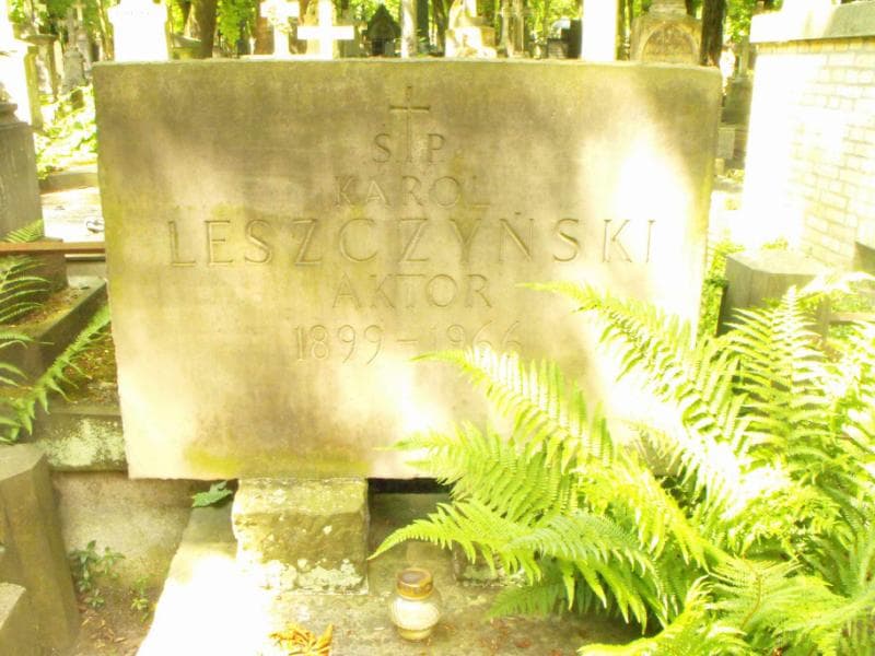 Zdjęcie grobu Teodozja Leszczyńska (2)