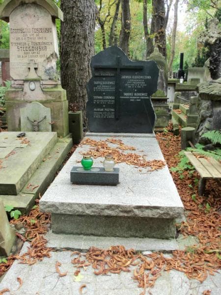 Zdjęcie grobu: Stefania Cedrowska