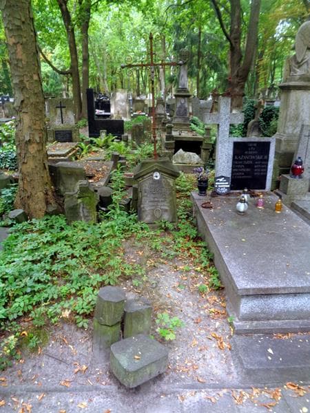 Zdjęcie grobu: Antonina Bielewicz