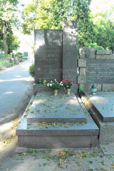 Zdjęcie grobu: Hanna Siedlanowska Brzosko
