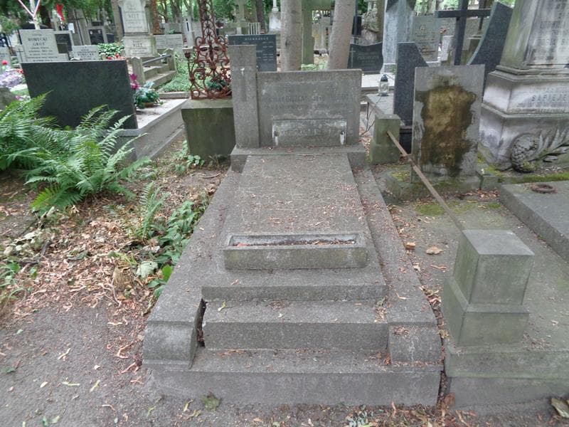 Zdjęcie grobu Władysław Boguta (1)