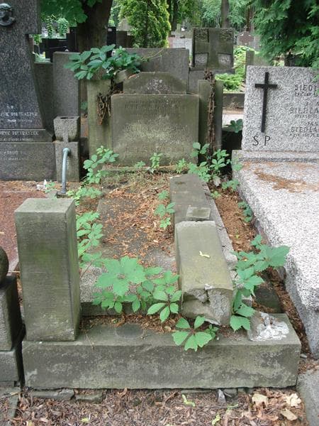 Zdjęcie grobu Stanisław Pieńkowski (1)