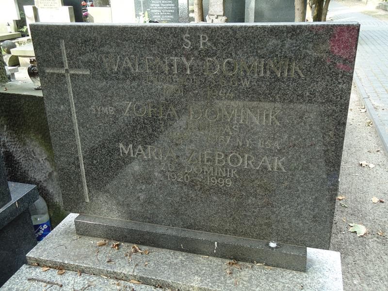 Zdjęcie grobu Walenty Dominik (2)