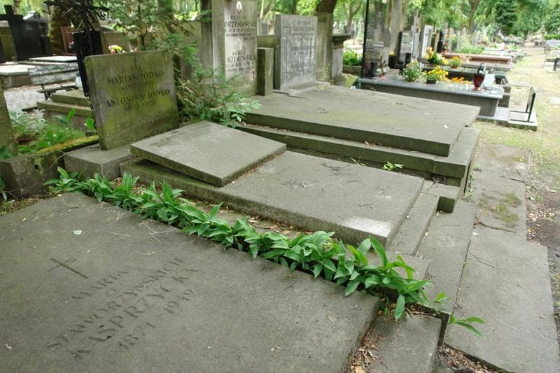 Zdjęcie grobu: Antonina Jodko