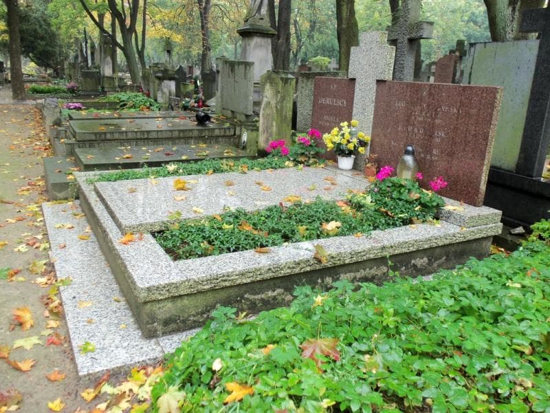 Zdjęcie grobu Konstanty Derulski (1)