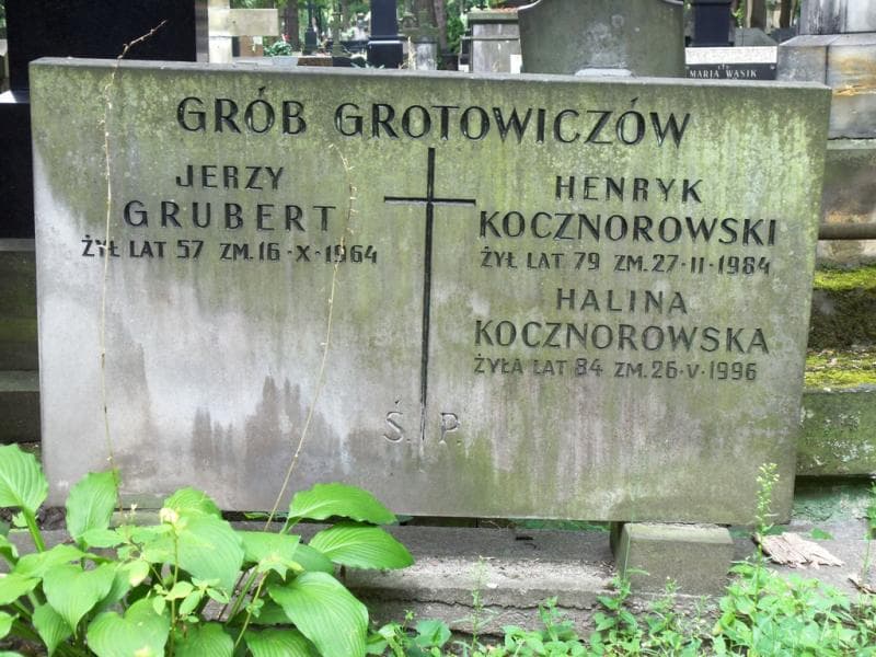 Zdjęcie grobu Halina Kocznorowska (2)